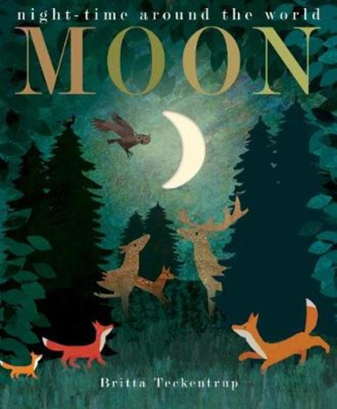 Moon by Patricia Hegarty - 9781848698673