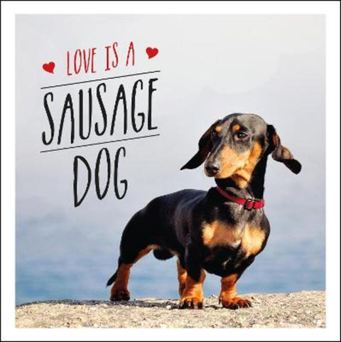 Love is a Sausage Dog by Charlie Ellis - 9781849539876