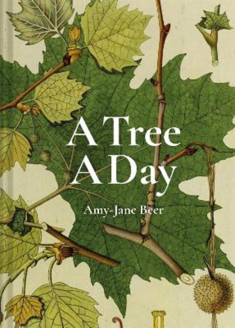 A Tree A Day by Amy-Jane Beer - 9781849946520