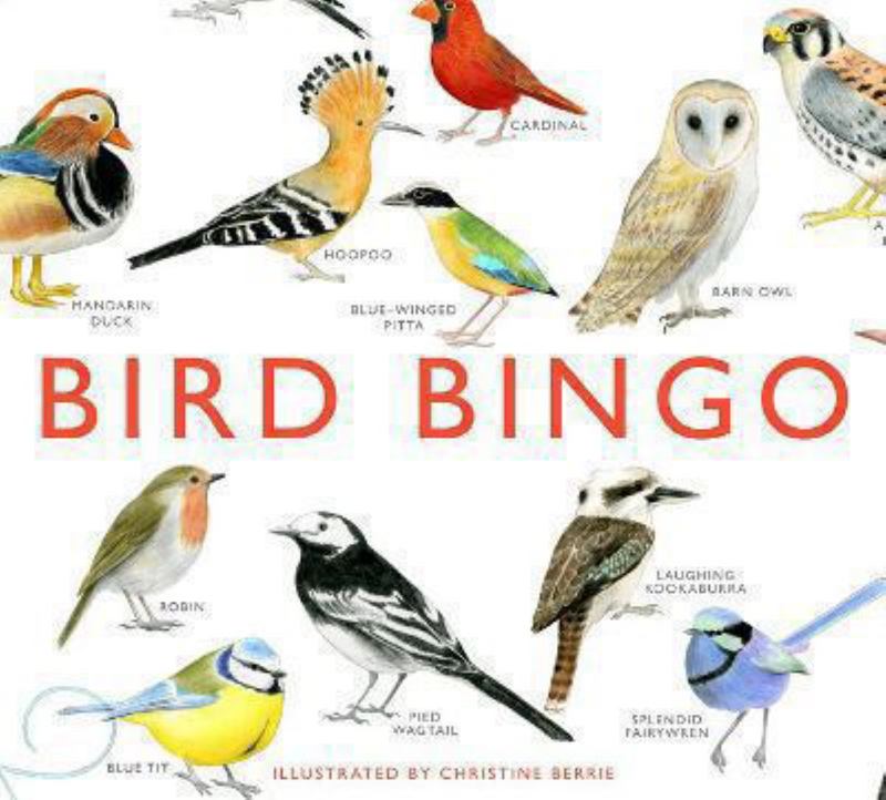 Bird Bingo by Christine Berrie - 9781856699174