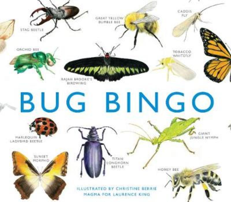 Bug Bingo by Christine Berrie - 9781856699402