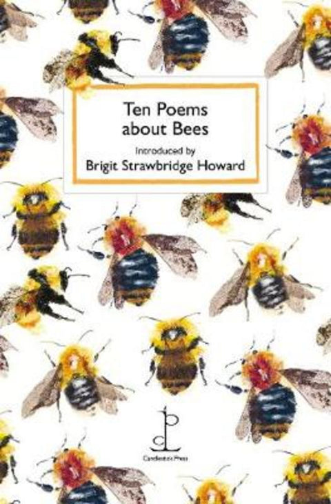 Ten Poems about Bees by Brigit Strawbridge Howard - 9781907598869