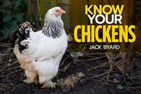 Know Your Chickens by Jack Byad - 9781912158478