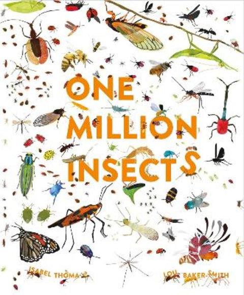 One Million Insects by Isabel Thomas - 9781913519025