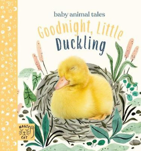Goodnight, Little Duckling by Amanda Wood - 9781913520199