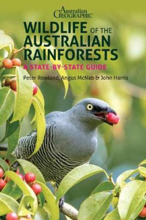 Wildlife of the Australian Rainforests by Peter Rowland - 9781913679033