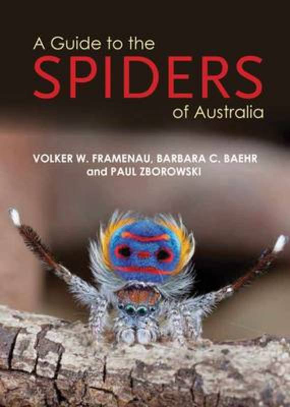 A Guide to Spiders of Australia by Volker W Framenau - 9781921517242