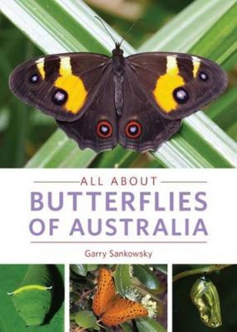 All about Butterflies of Australia by Garry Sankowsky - 9781921517433