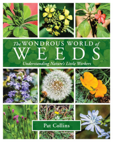 The Wondrous World of Weeds by Pat Collins - 9781921517792