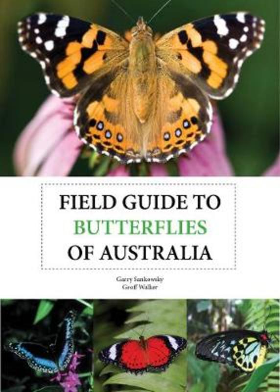 Field Guide to Butterflies of Australia by Garry Sankowsky - 9781921517884