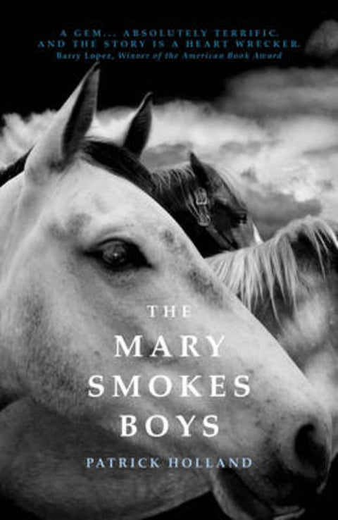 The Mary Smokes Boys by Patrick Holland - 9781921924132