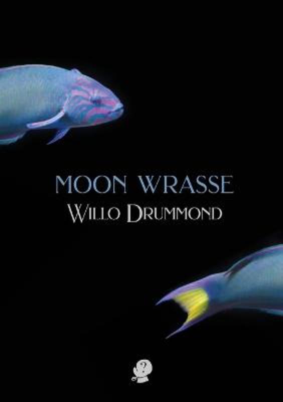 Moon Wrasse by Willo Drummond - 9781922571670