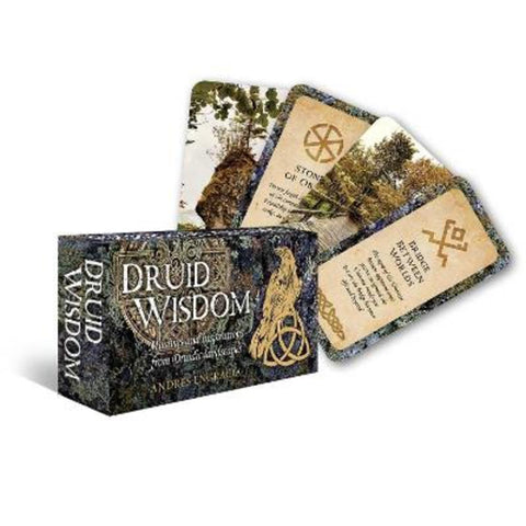 Druid Wisdom by Andres Engracia - 9781922579454