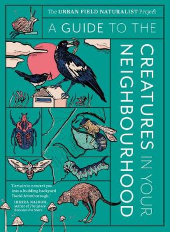 A Guide to the Creatures in Your Neighbourhood by Zoe Sadokierski - 9781922616326