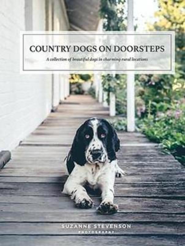 Country Dogs on Doorsteps by Suzanne Stevenson - 9781922626035