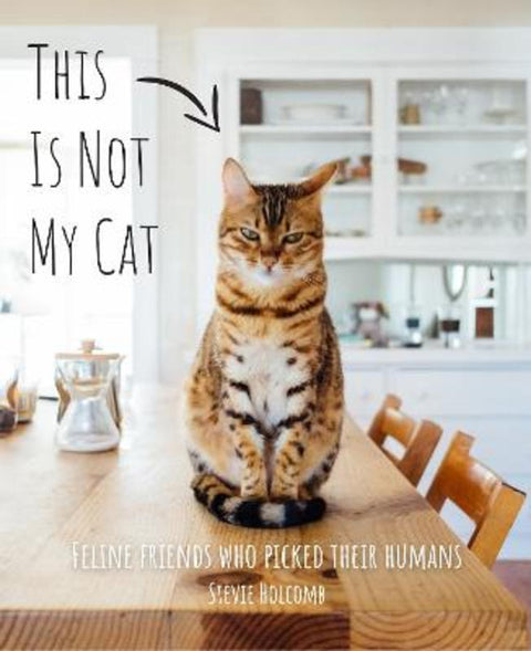 This is not my cat by Stevie Holcomb - 9781922754035