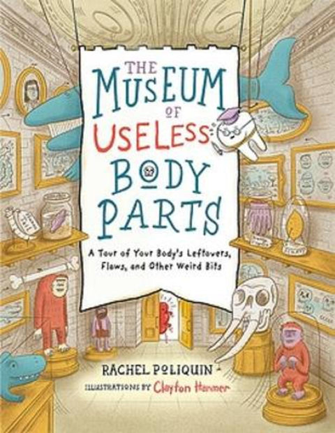 The Museum of Useless Body Parts from Clayton Hanmer - Harry Hartog gift idea