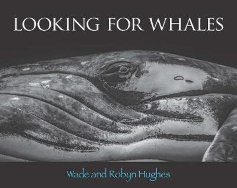 Looking for Whales by Wade Hughes - 9781925043488
