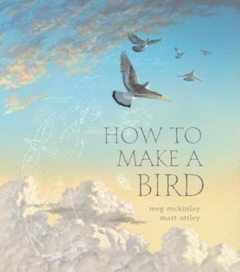 How to Make a Bird by Meg McKinlay - 9781925381894