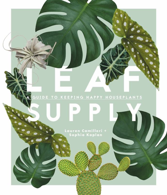 Leaf Supply by Lauren Camilleri - 9781925418637