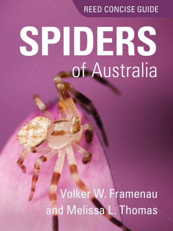 REED CONCISE GUIDE SPIDERS OF AUSTRALIA by Volker W. Framenau - 9781925546033
