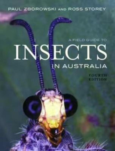 A Field Guide to Insects in Australia by Paul Zborowski - 9781925546071