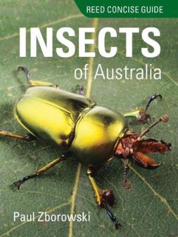 Reed Concise Guide to Insects of Australia by Paul Zborowski - 9781925546446