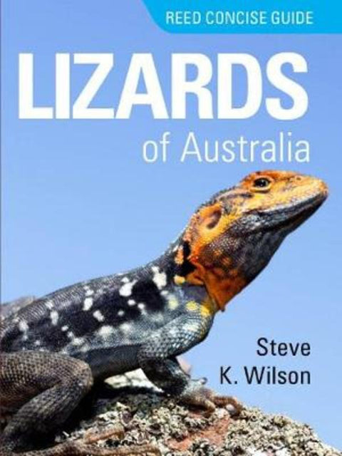 Reed Concise Guide Lizards of Australia by Steve K Wilson - 9781925546576