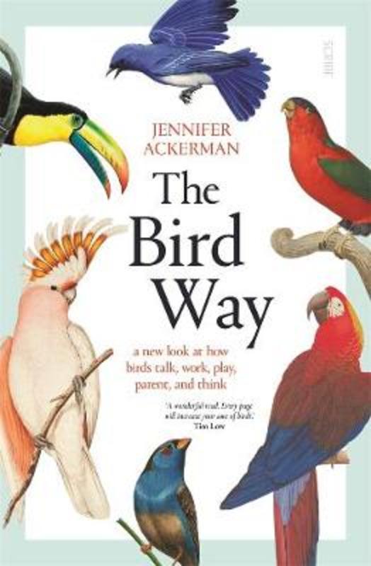 The Bird Way by Jennifer Ackerman - 9781925713763