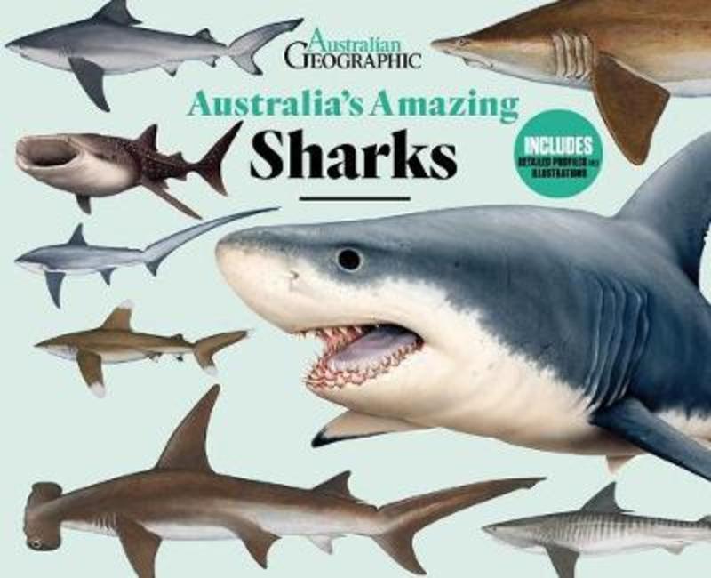Australia's Amazing Sharks by Australian Geographic - 9781925847802
