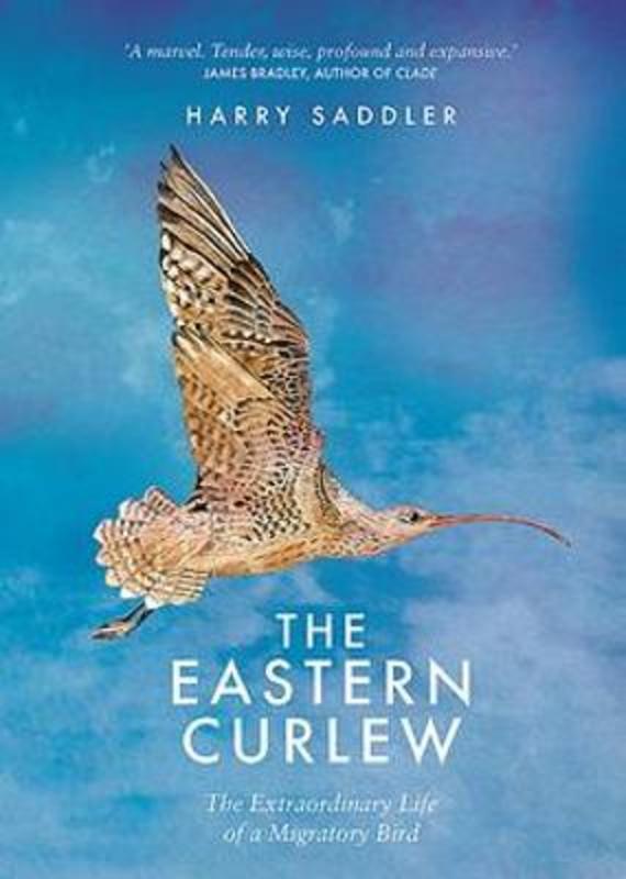 The Eastern Curlew by Harry Saddler - 9781925870831