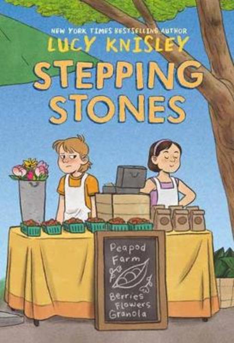 Stepping Stones by Lucy Knisley - 9781984896841