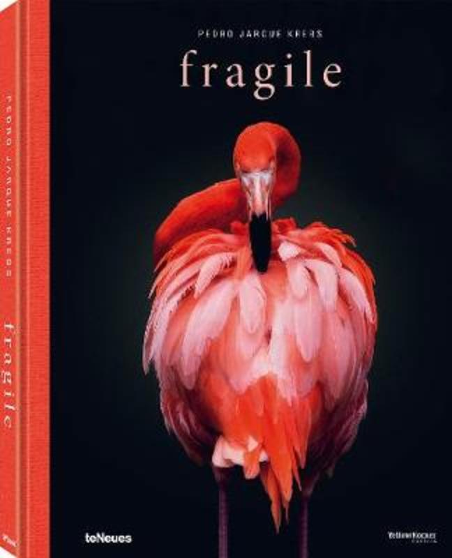 Fragile by Pedro Jarque Krebs - 9783961712229