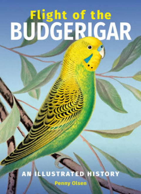 Flight of the Budgerigar by Penny Olsen - 9780642279606